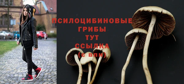 гашишное масло Абинск