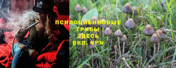 прущая мука Абаза