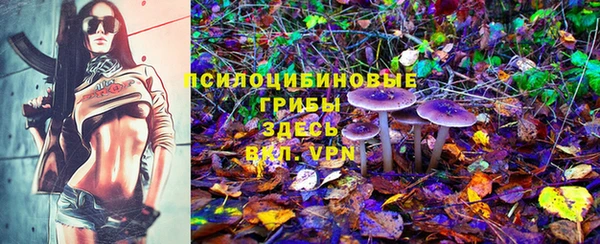 прущая мука Абаза