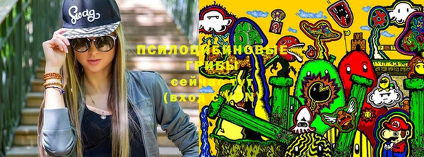 прущая мука Абаза